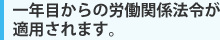 一年目からの労働関係法令が適用されます。